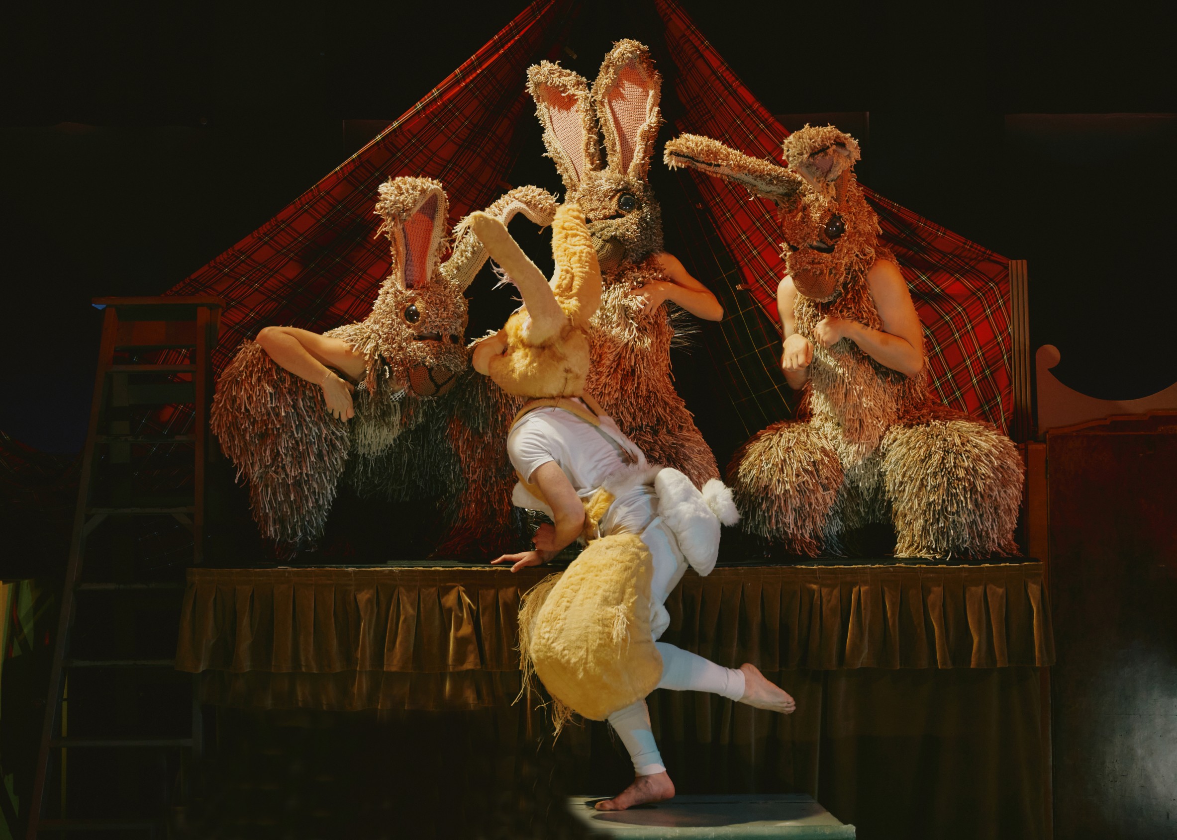 Meet Toby Fitzgibbons | balletLORENT